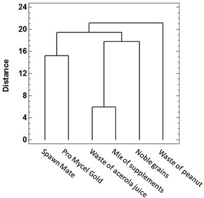 Using of Appropriated Strains in the Practice of Compost Supplementation for Agaricus subrufescens Production